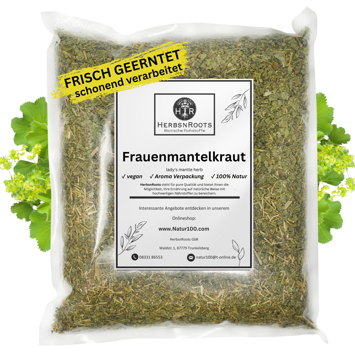 Frauenmantelkraut