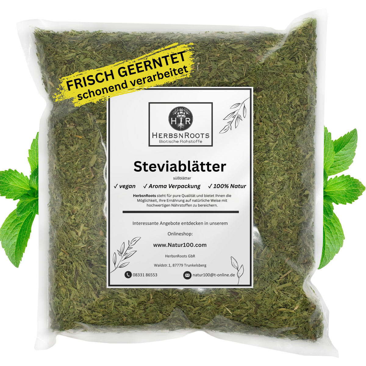 Steviablätter - zuckerfreie Süße
