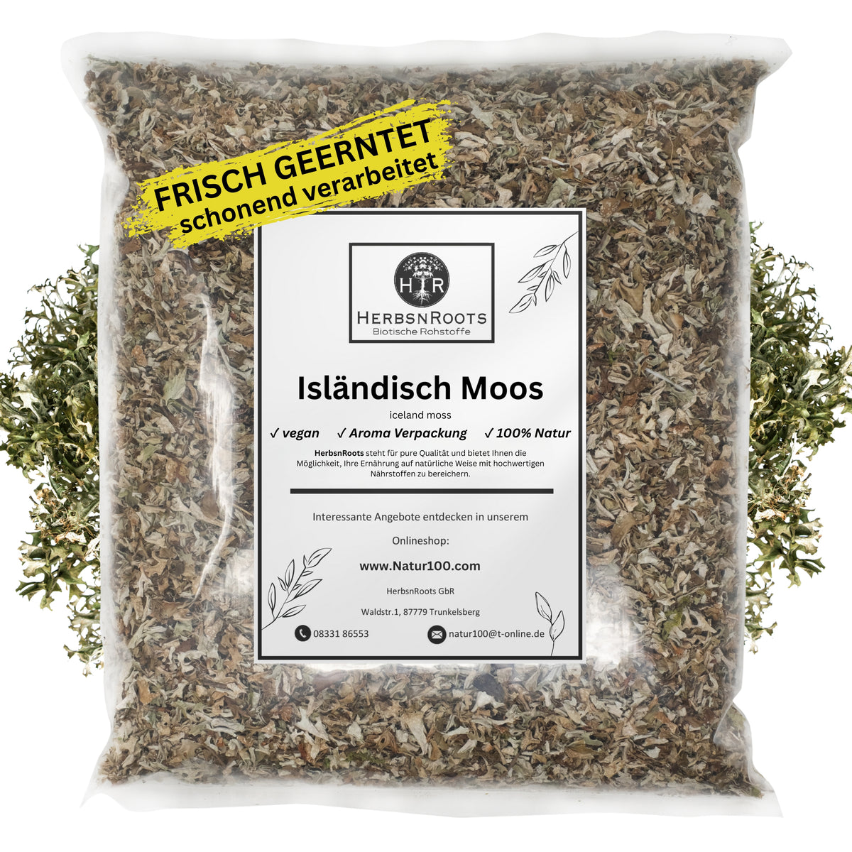 Isländisch Moos