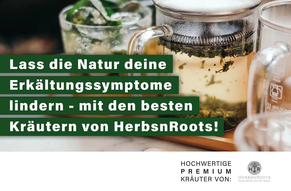 Kräuter der Woche Nr. 16 - Natürliche Hilfe bei Husten, Schnupfen und Halsschmerzen - unsere Top-Kräuter!