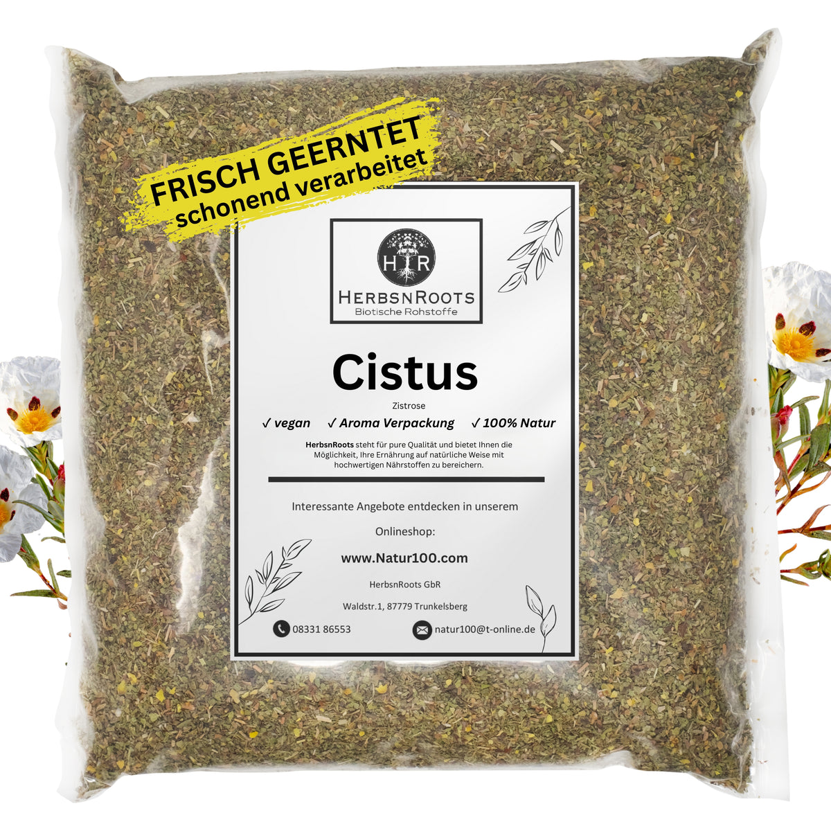 Cistus - Zistrosen