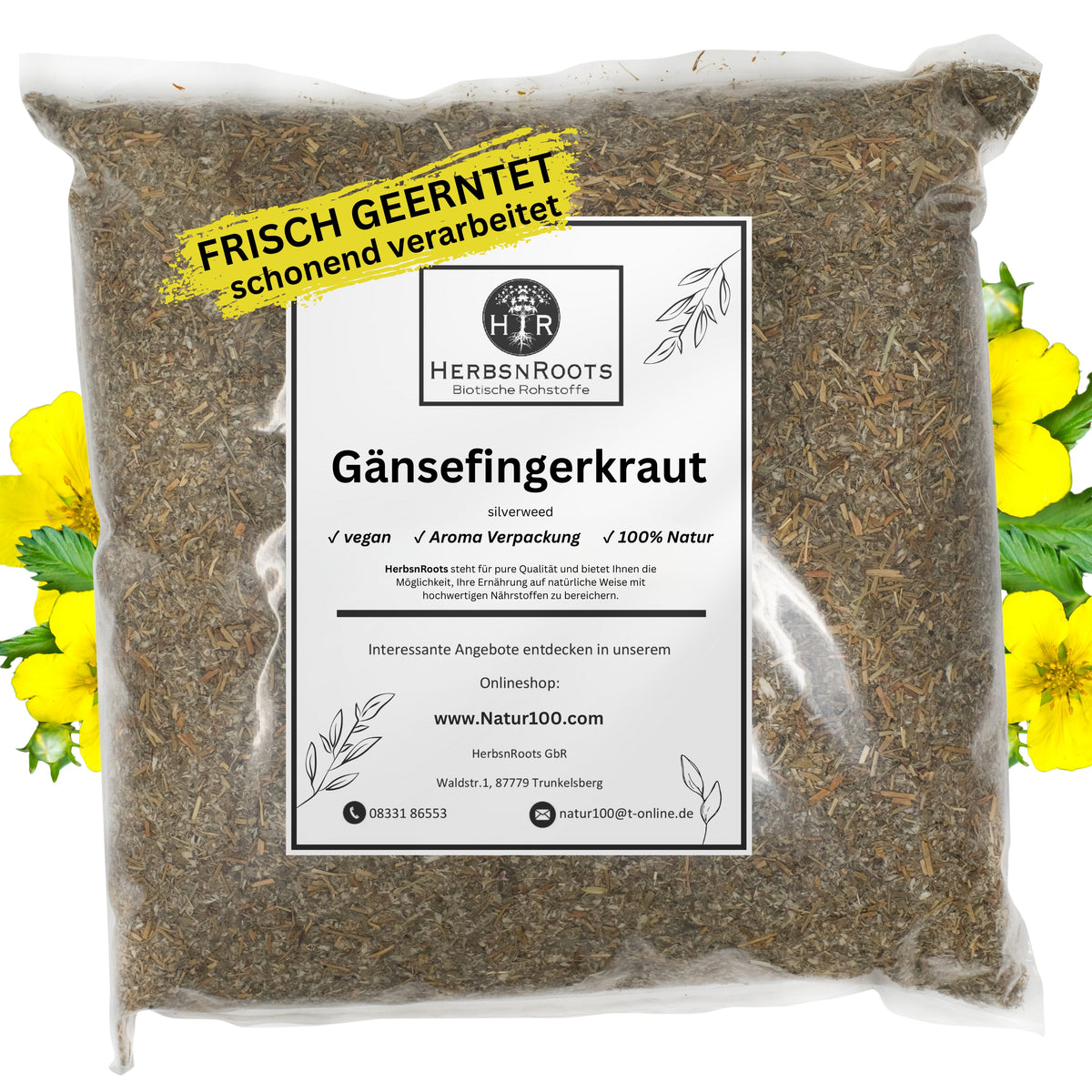 Gänsefingerkraut/ Krampfkraut