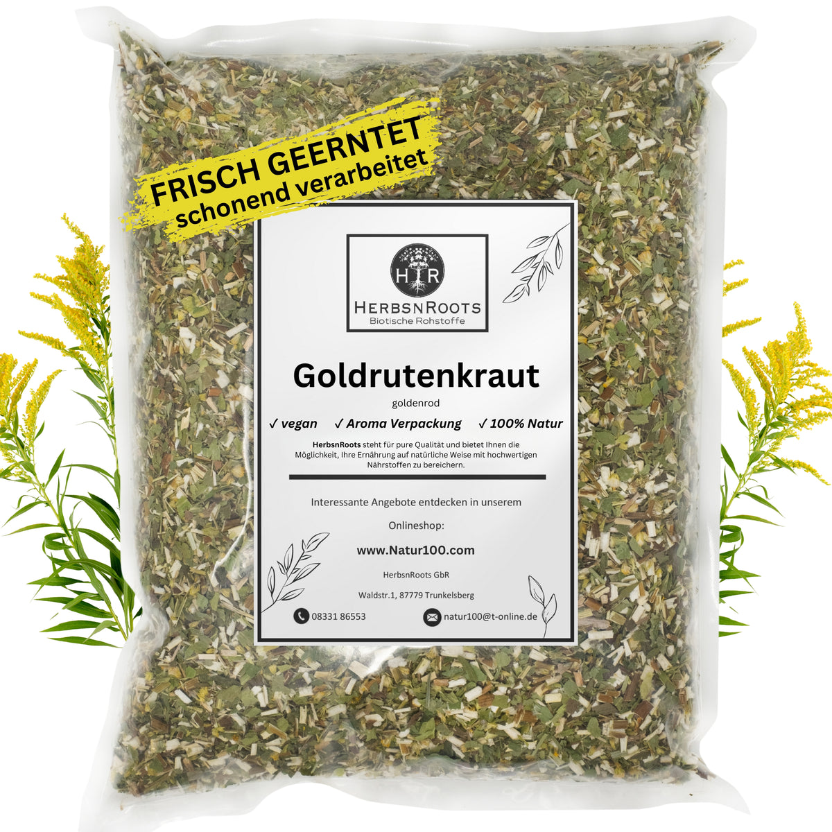Goldrutenkraut