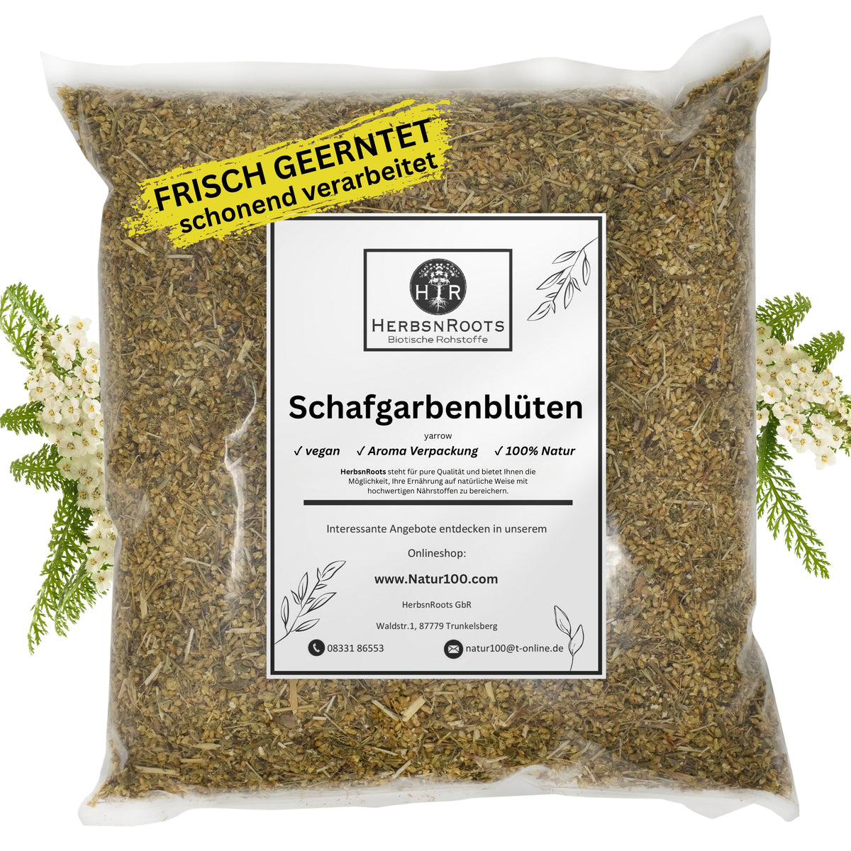 Schafgarbenblüten