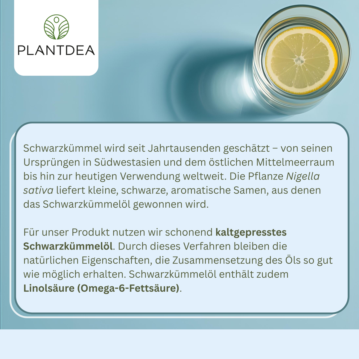 Bio Schwarzkümmelöl Kapseln