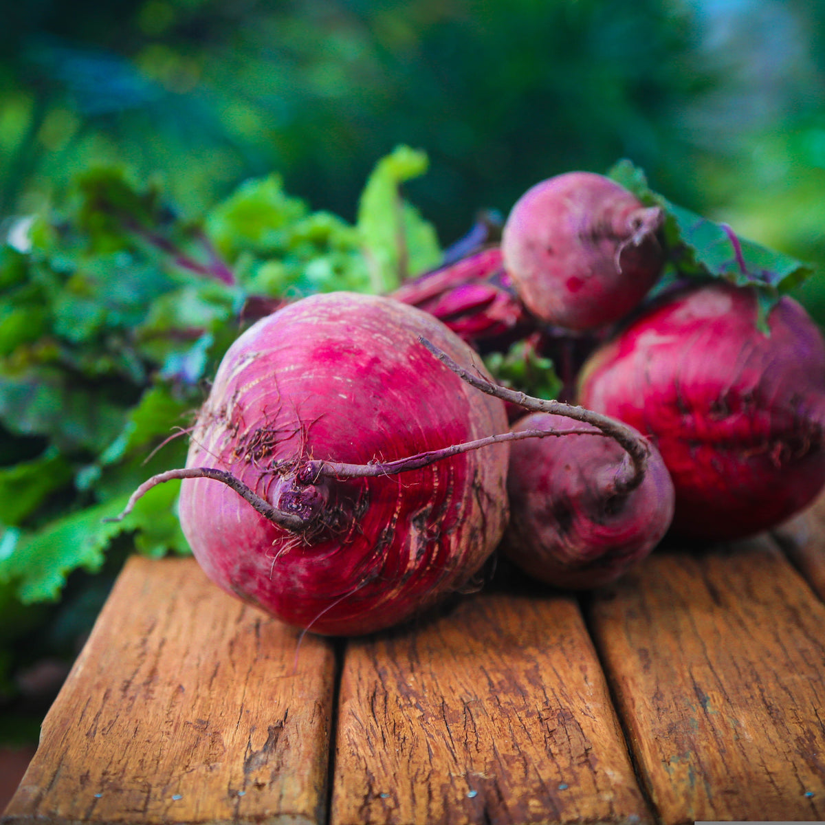 Rote Beete Chips